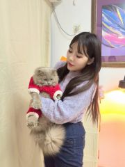 罗湖马达臀川妹妞妞