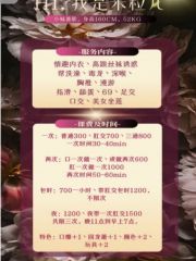 园区气质服务系御姐